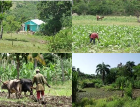 Agriculture
